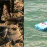 89255548_2821922271235484_2746434352303833088_n