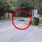 الشرطة الفرنسية تقتل منفد عملية قطع رأس مدرس فرنسي اساء إلى النبي محمد