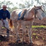 الجفاف في المغرب