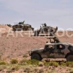 125338931_3662981423765320_2478347837812721564_n