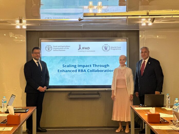 جدّدت منظمة الأغذية والزراعة للأمم المتحدة (FAO)، والصندوق الدولي للتنمية الزراعية (IFAD)، وبرنامج الأغذية العالمي (WFP)، تأكيدهم على أدوارهم الحيوية والمتكاملة في تعزيز الأمن الغذائي، وبناء نظم غذائية قادرة على الصمود، ودفع جهود التكيف مع تغير المناخ في مصر.